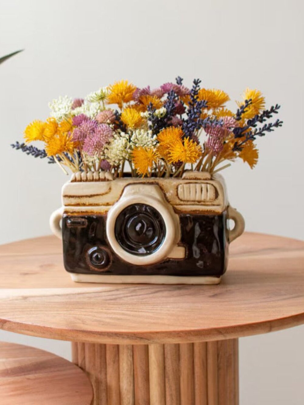 Ceramic Camera Planter